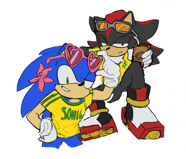 Sonicログ