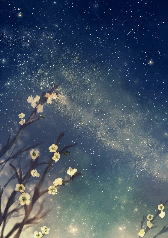 星空に梅の花が咲いている。「夜にも春がくるのか」