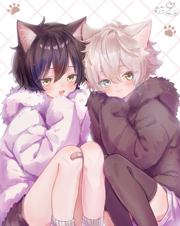 🐱🐱 - 1/1