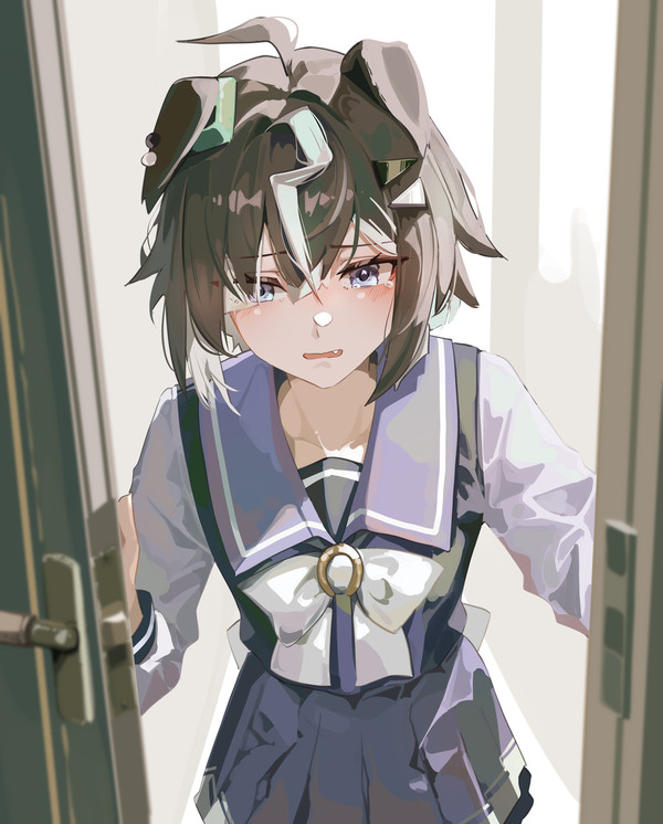 ルーラーシップ（メンブレ）