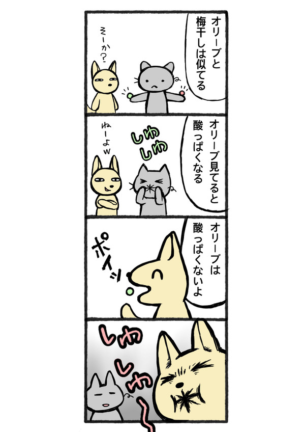 オリーブの種と梅干しの種