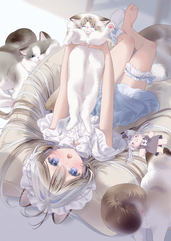 🐈ラグドール