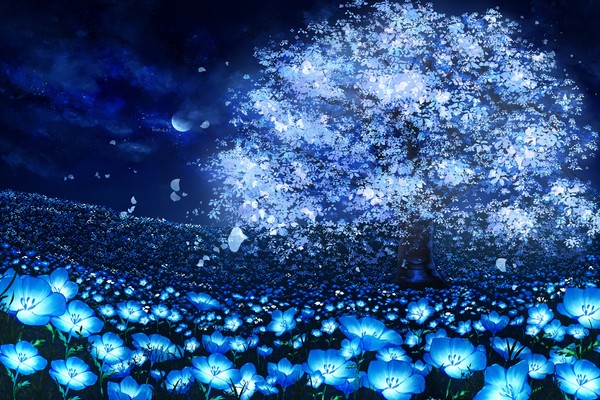 世にも不思議な青色の桜