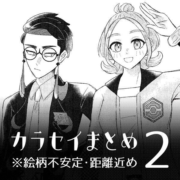 カラセイまとめ2
