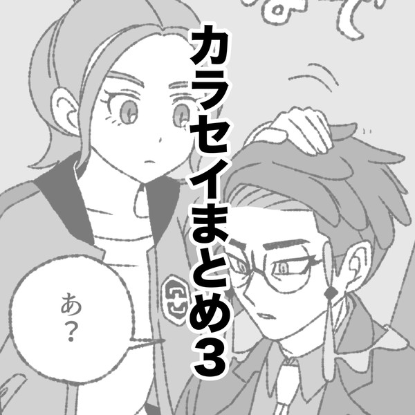 カラセイまとめ3