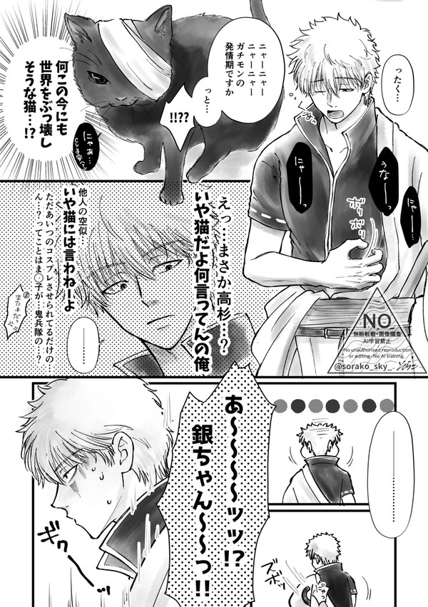 銀さんが猫を拾う話 - 1/5