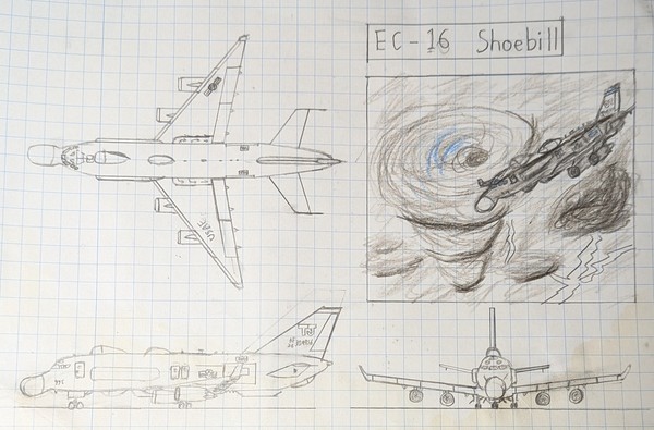 EC-16 Shoebill(ハシビロコウ)