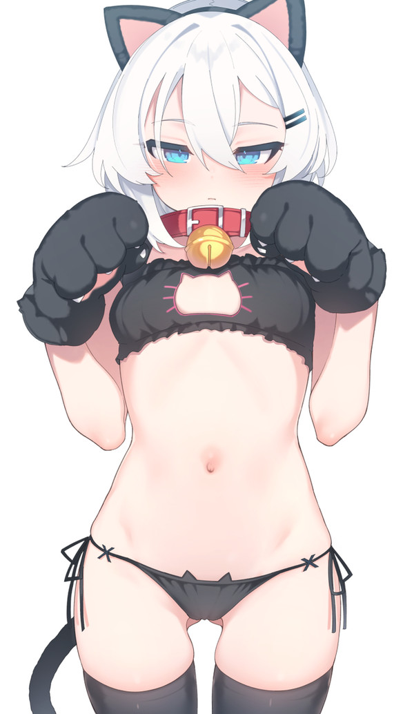 ねこのやつ