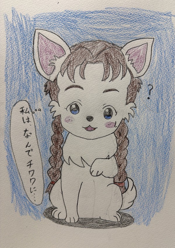 チワワになったニーナちゃん