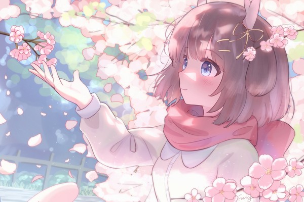 blossom
