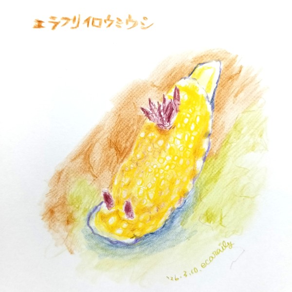 色鉛筆画0310