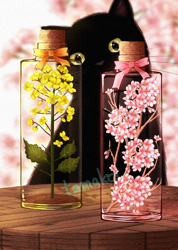 桜と菜の花の瓶詰め