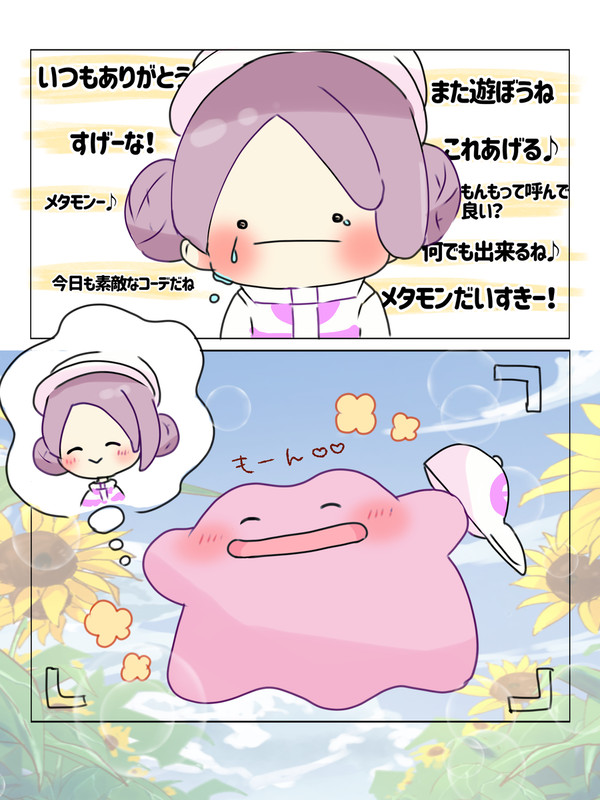 めたもん