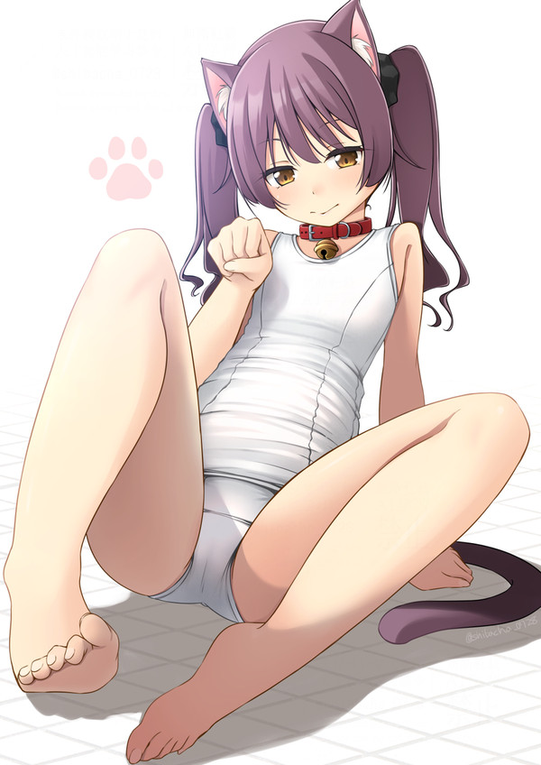 白にゃー