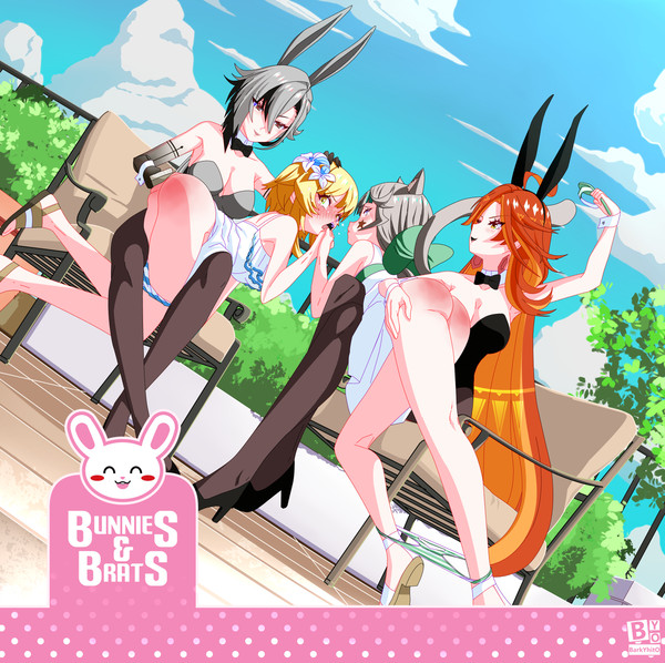 Rascals don't dream of bunnygirl