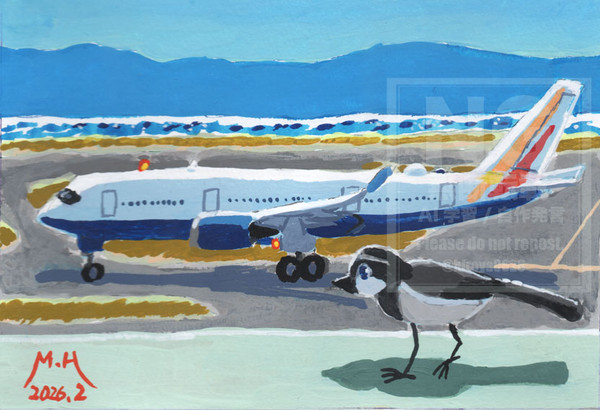 旅客機とセキレイ