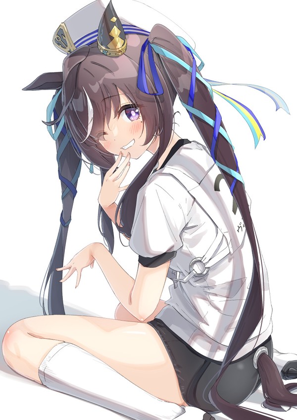 【ウマ娘】ブルマヴィブロス