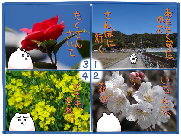 あたたかくなったので