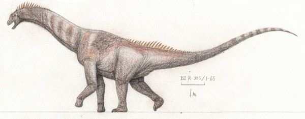 元ティタノサウルス