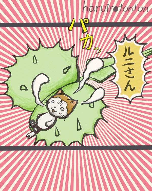 それたぶん、のんちゃんです。15