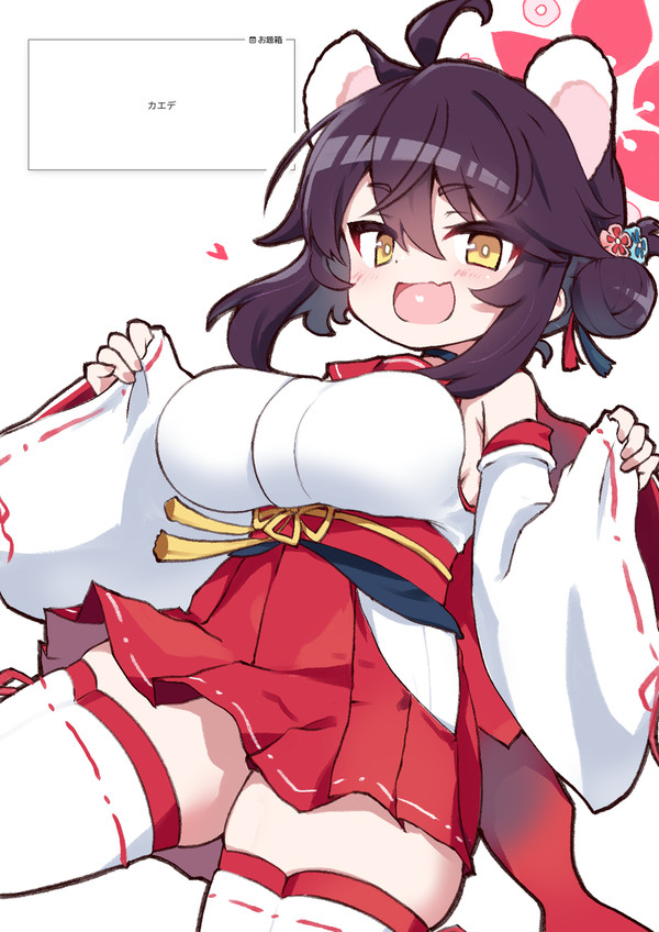 カエデ