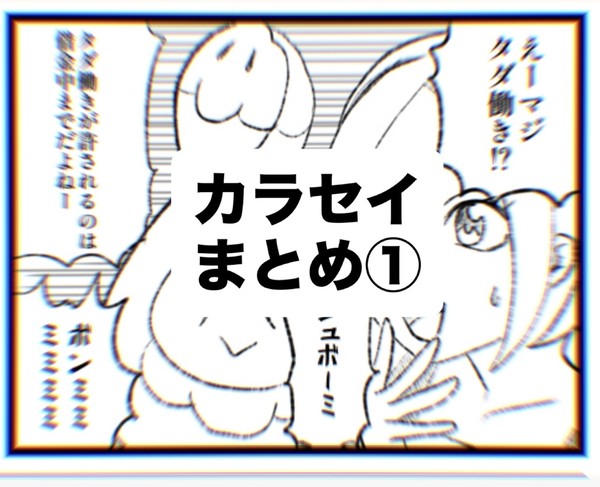 カラセイまとめ①