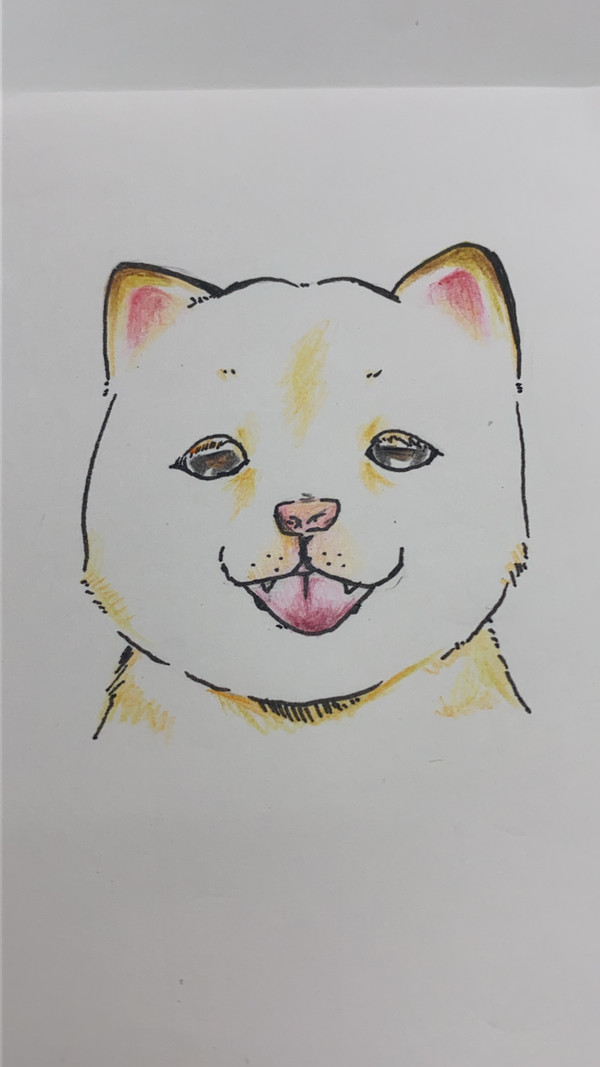 白柴ワンコの落書き