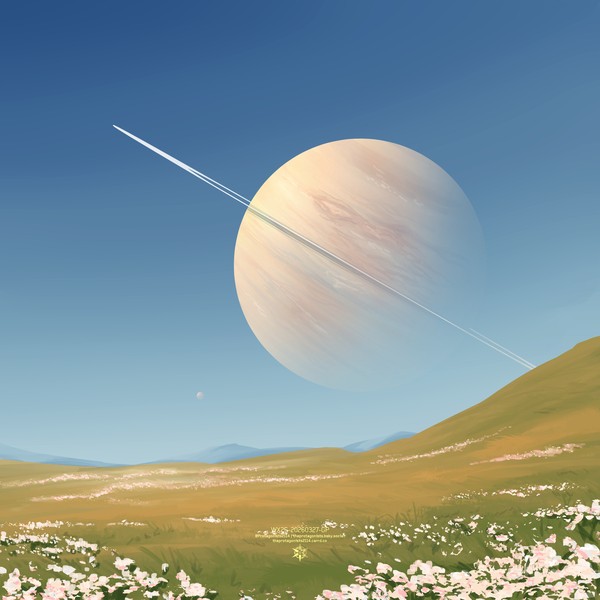 In these immense fields