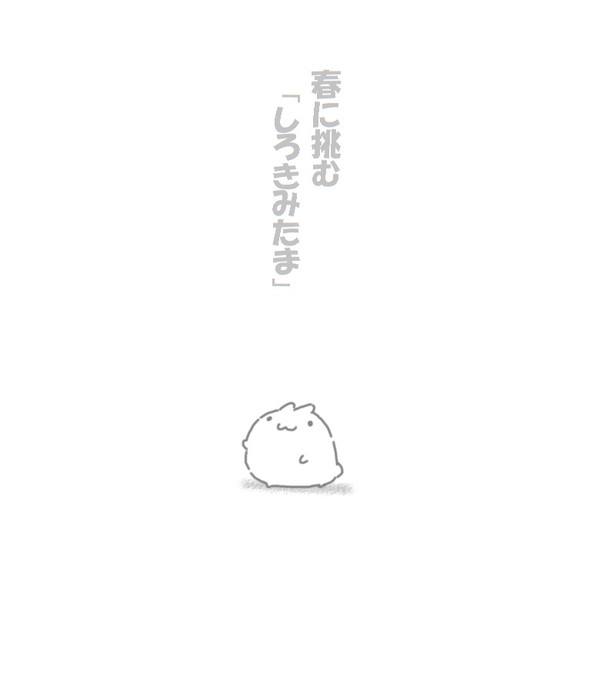 【きよから】春に挑む「しろきみたま」【春試験】