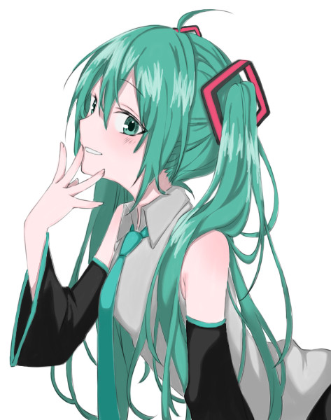初音ミクちゃん
