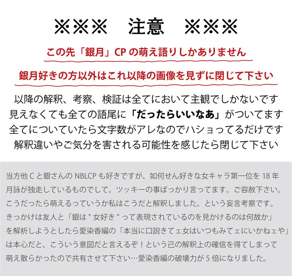 銀月の考察