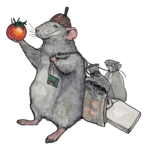 Rat collecting food