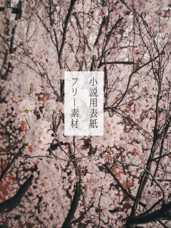 小説表紙用フリー素材(花)