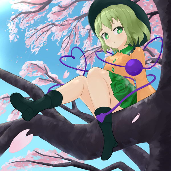 桜の木の上から