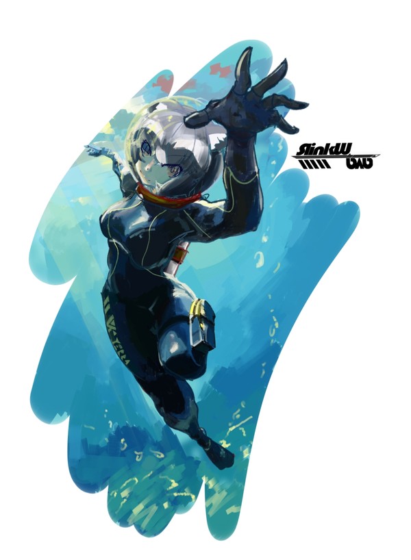 Diving Raccoon