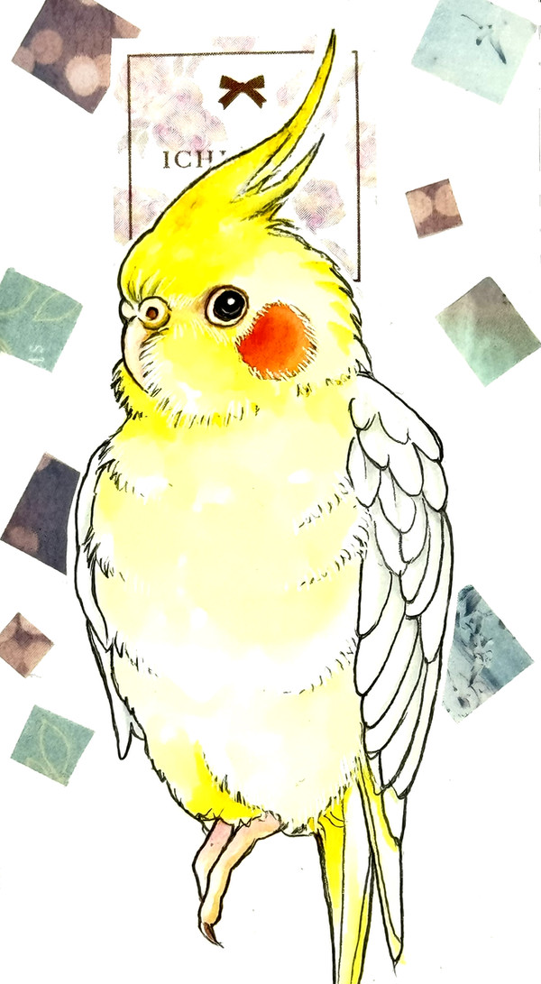 オカメルチノー