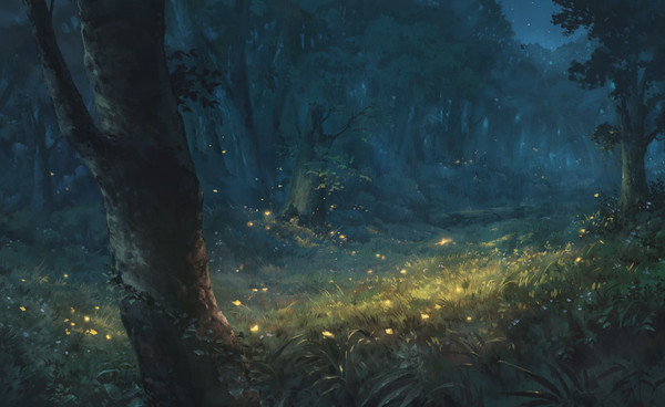 Nocturnal Forest