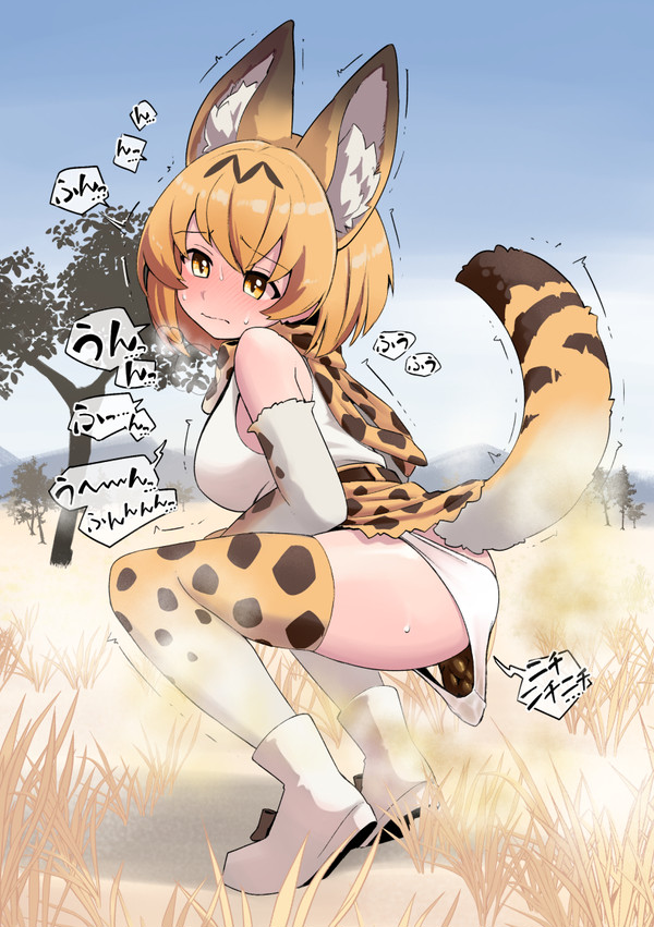 (♀/スカ)着衣うんち