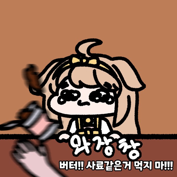 버터!!!!! 사료같은거 먹지 마!!!!!!!!!