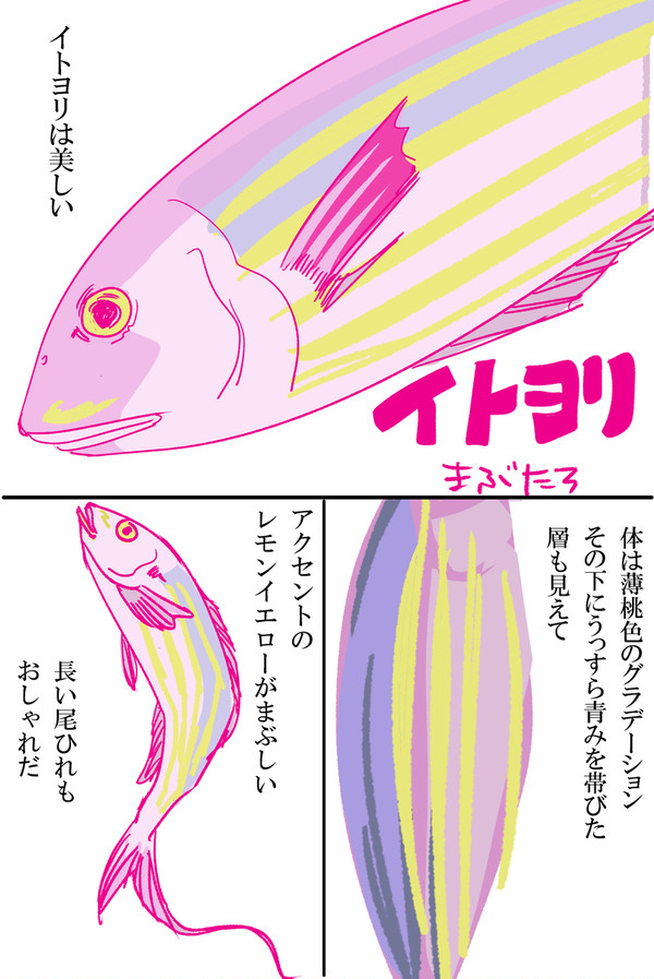 イトヨリ