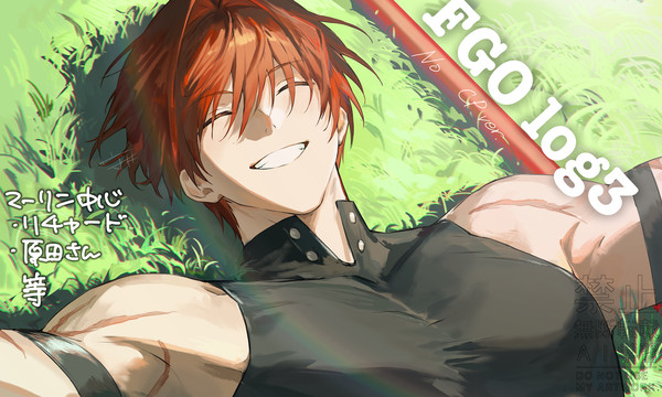 FGO log3 - 1/38