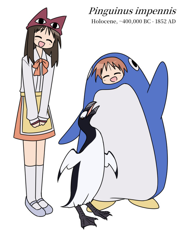Great auk