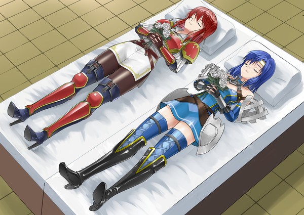pixivリクエスト　FEHミネルバさんとカチュアさん