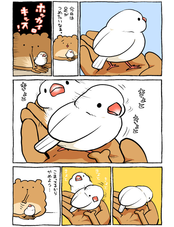 困惑 - 1/1