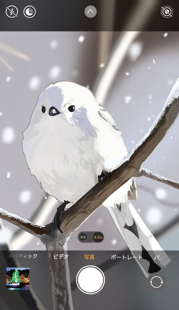 シマエナガ