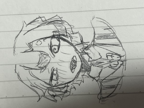 あくねこ