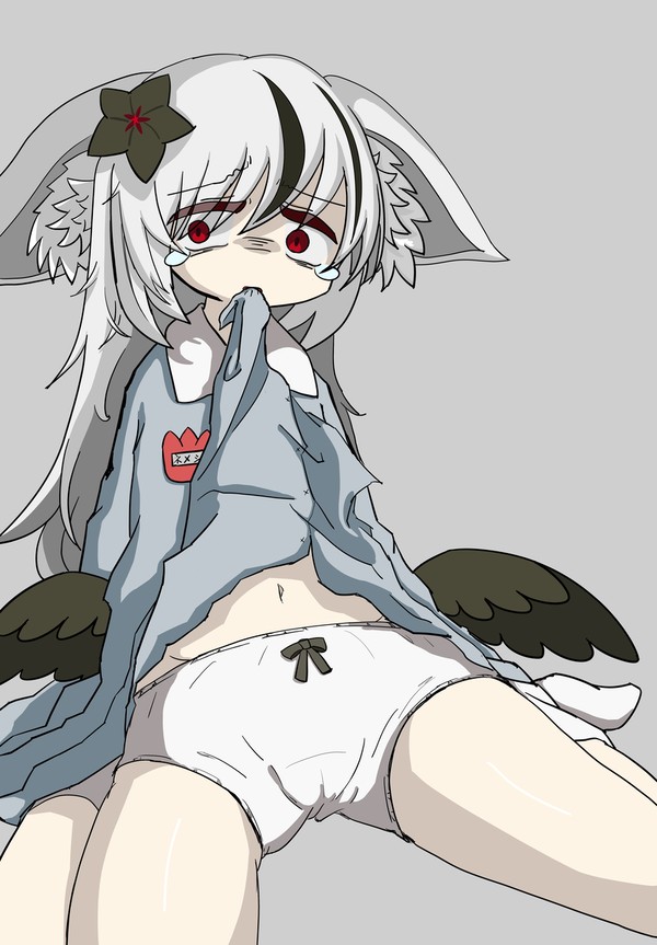 おぱんつみせてねネメシスちゃん…♡