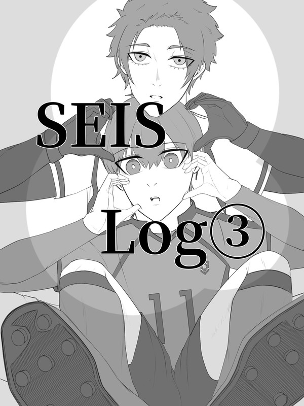 SEIS Log③