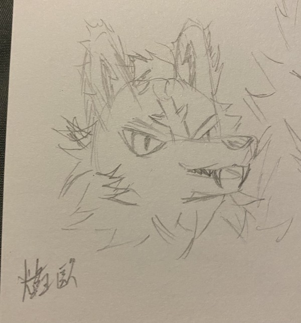 自設獸人練習