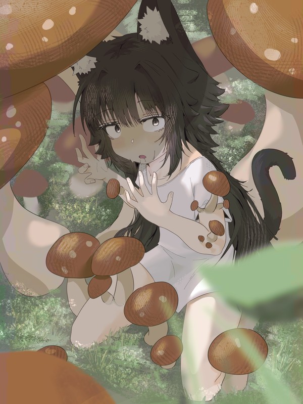 蘑菇🍄不好吃🤮🤮🤮